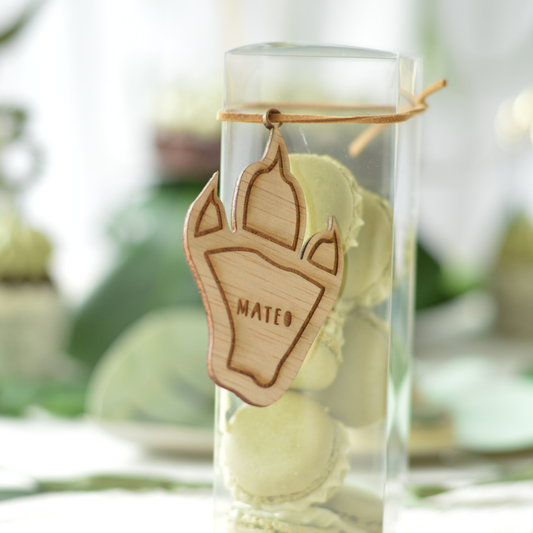 Personalised Dino Name Tags (set of 10+)