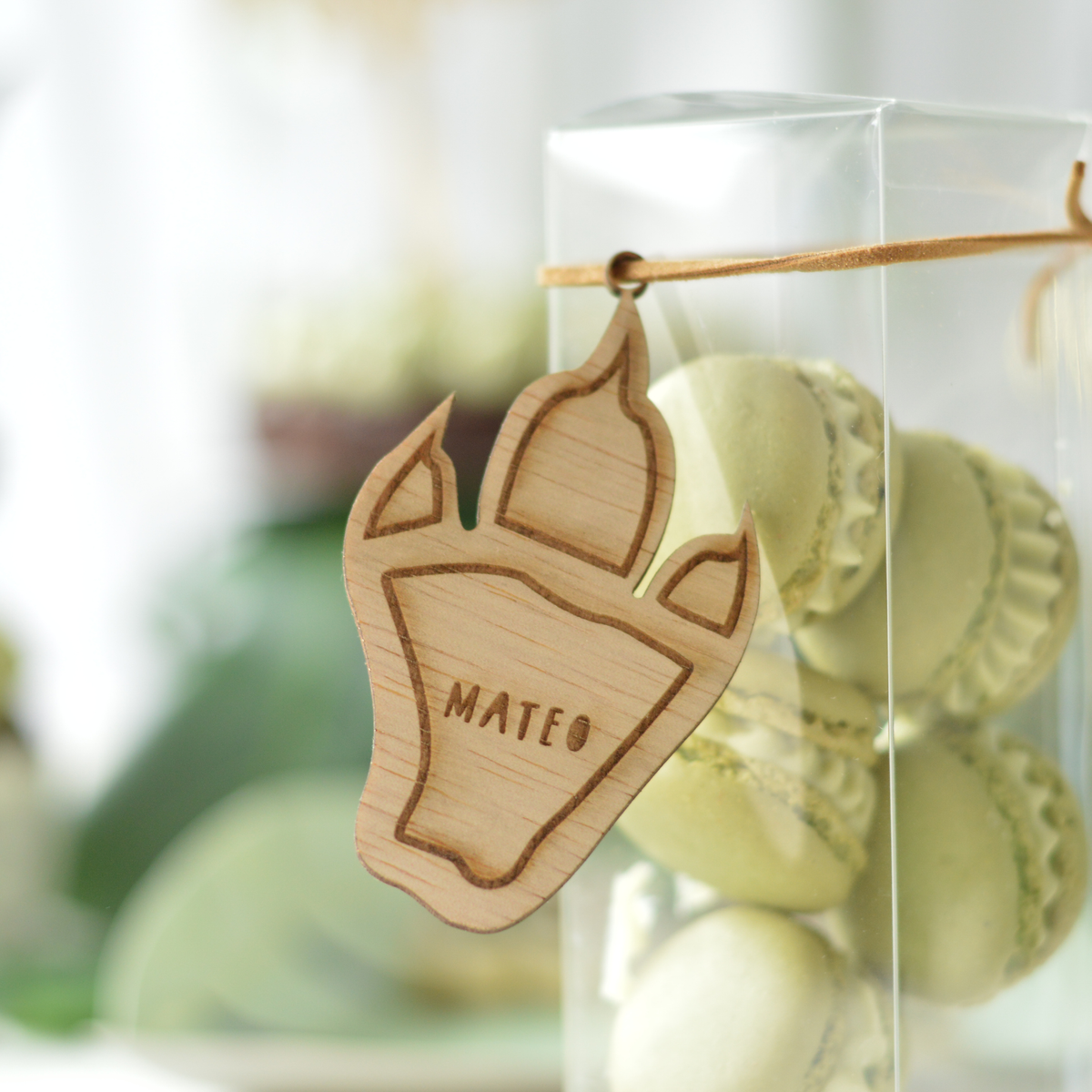 Personalised Dino Name Tags (set of 10+)