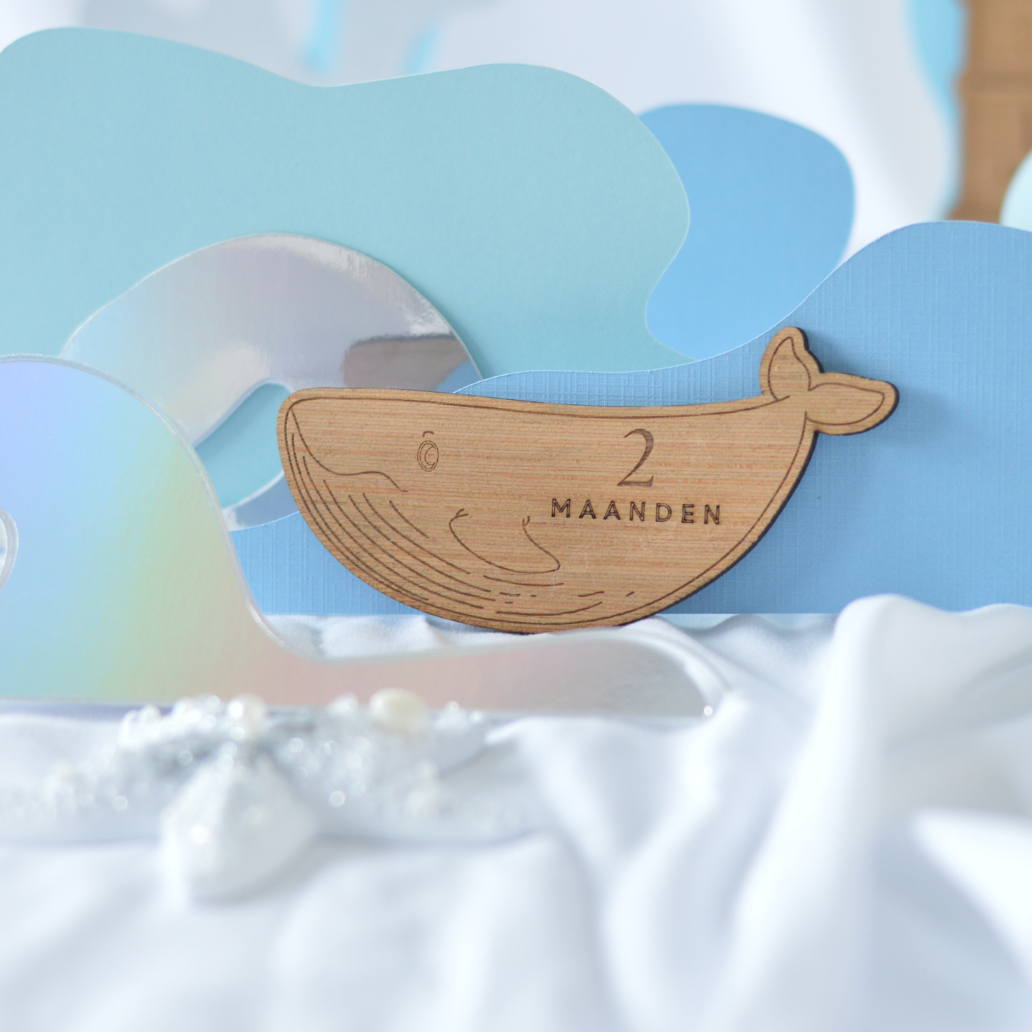 Under the Sea Milestone Set | Personalised Baby Milestone Cards | Laser Engraved Wood | 0–12 Months